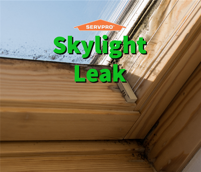 mold damage caused by a skylight leak